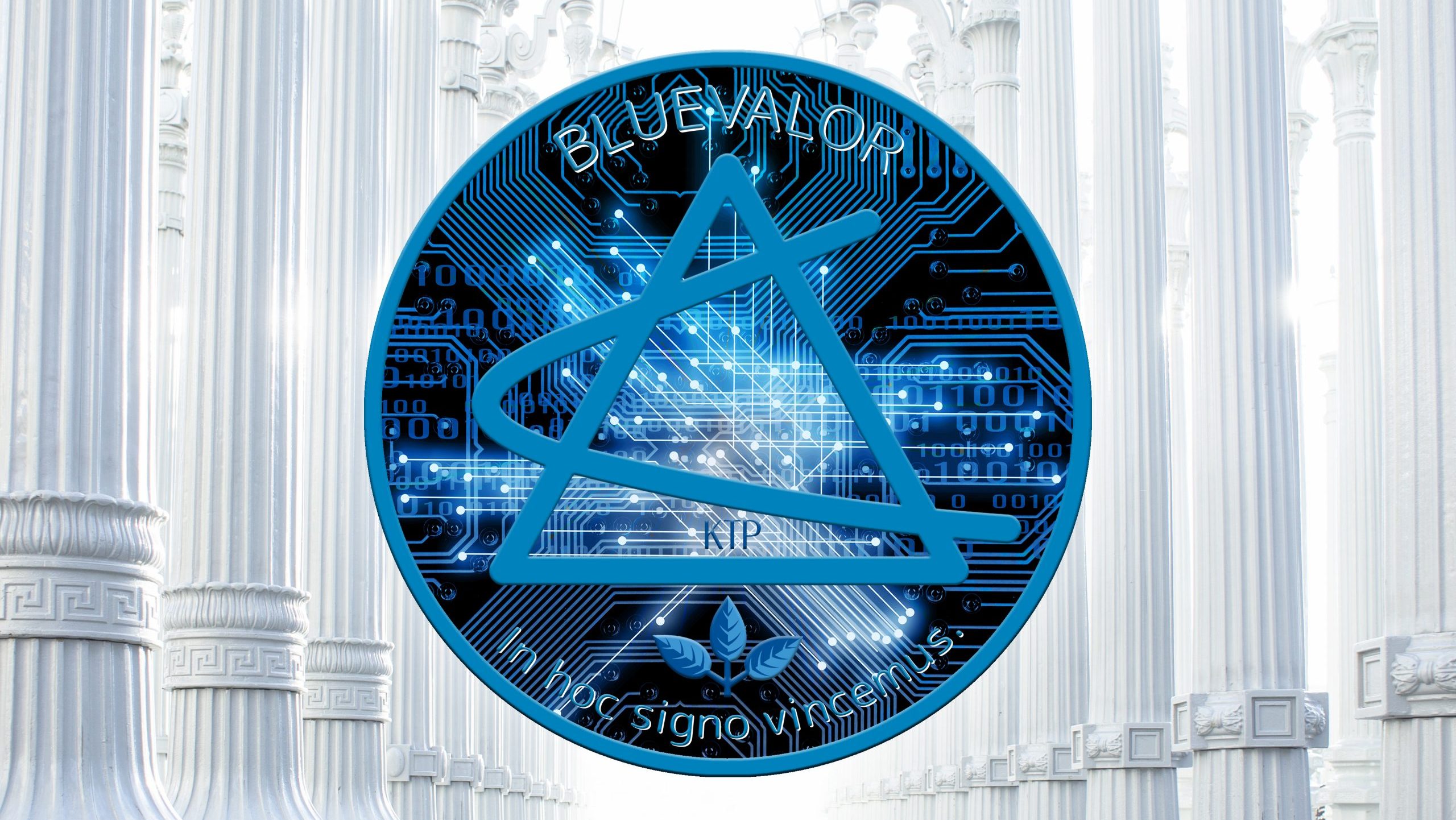 Die blaue BLUEVALOR Münze